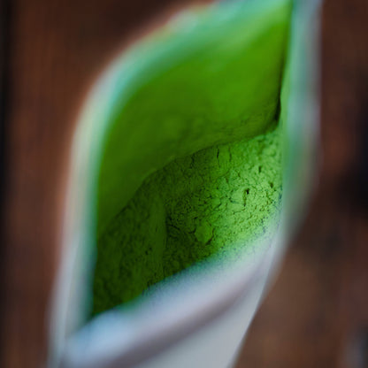 Ceremonial Aichi Matcha